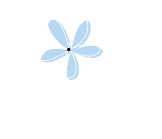 Silver-Streak-Weddings2